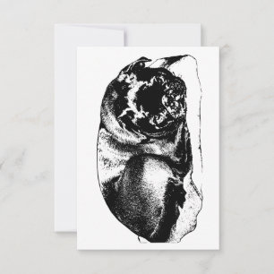 Appreciation, Steady and True Thank You Card