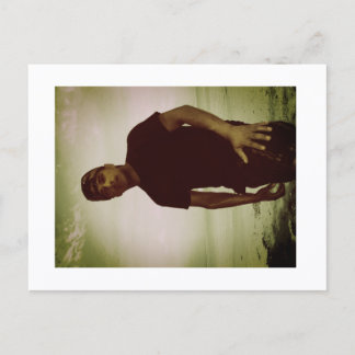 Approachable Wolf Post Card Print