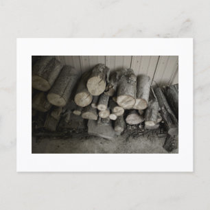 Approachable Wolf Post Card Print