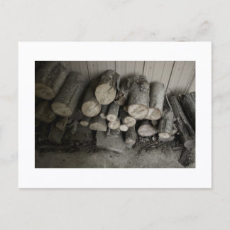 Approachable Wolf Post Card Print