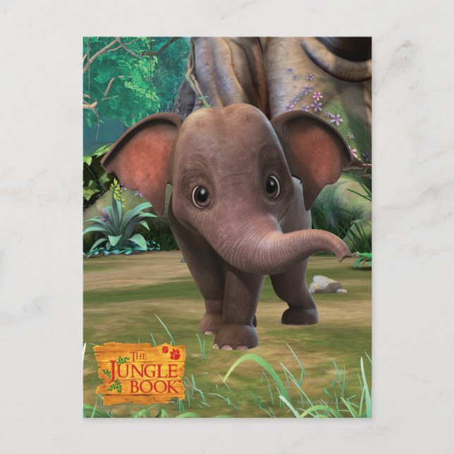 Appu Postcard (Front)