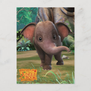 Appu Postcard