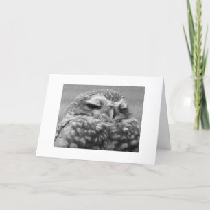 Appy Owlidays. Holiday Card