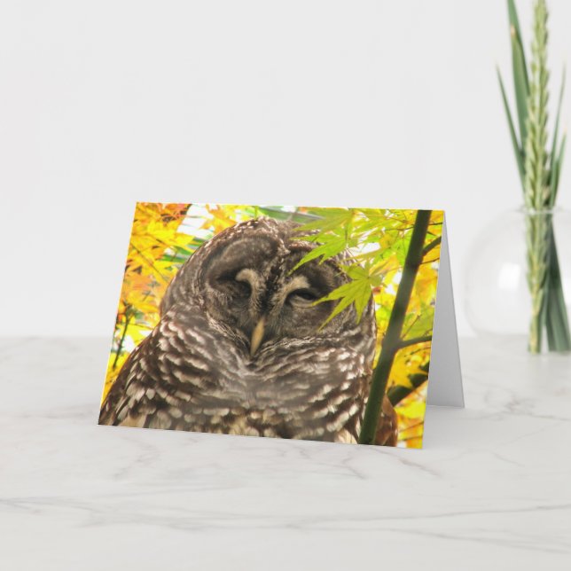 Appy Owlidays Holiday Card (Front)