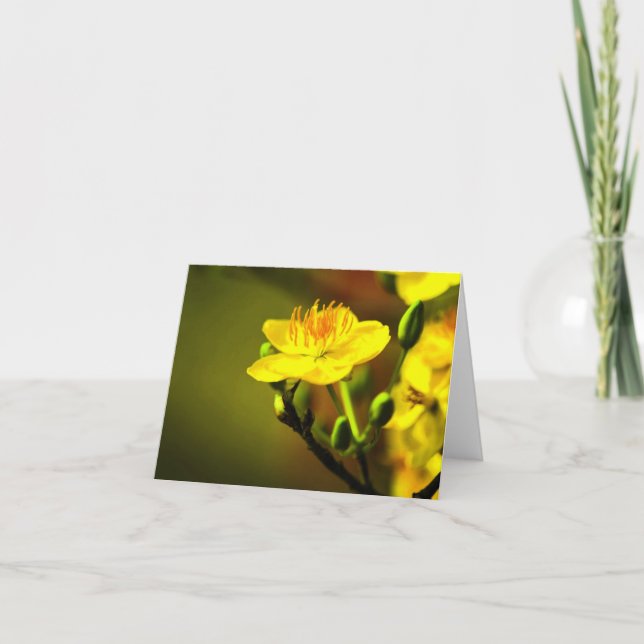 Apricot Blossom All Occasion Notecard (Front)