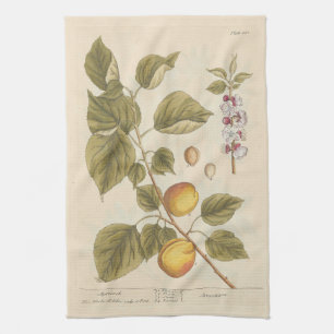Apricot by Elizabeth Blackwell Tea Towel