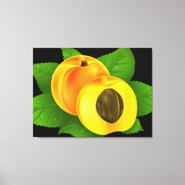 Apricot Canvas Print (Front)