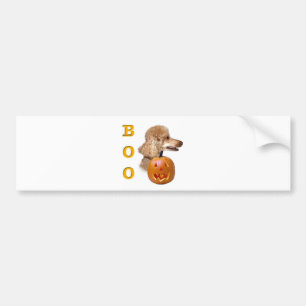 Apricot Coated Poodle Boo Bumper Sticker