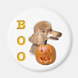 Apricot Coated Poodle Boo Magnet