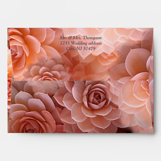 Apricot Crush Succulent Colours for 2024 Envelope (Back (Top Flap))