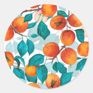 Apricot garden 4 classic round sticker