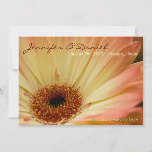 Apricot Gerbera • Save the Date Announcement
