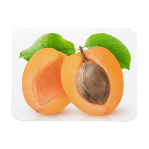 Apricot halves magnet