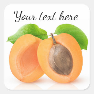 Apricot halves square sticker