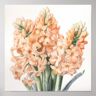Apricot Hyacinth Flower Art Print Poster