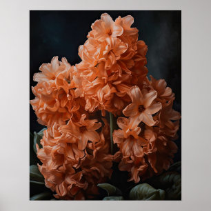 Apricot Hyacinth Flowers Art Print Poster