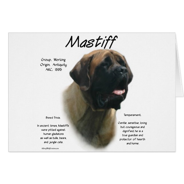 Apricot Mastiff History  (Front Horizontal)