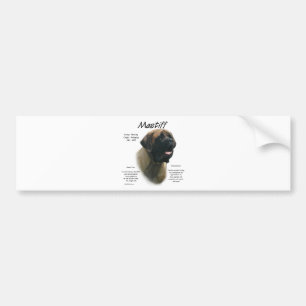 Apricot Mastiff History Bumper Sticker