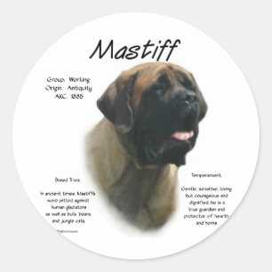 Apricot Mastiff History  Classic Round Sticker