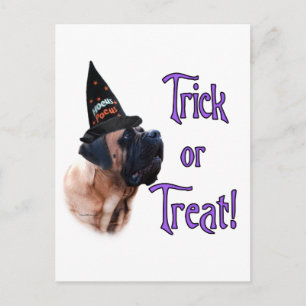 Apricot Mastiff Trick Postcard