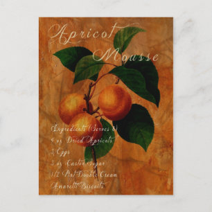 Apricot Mousse Postcard