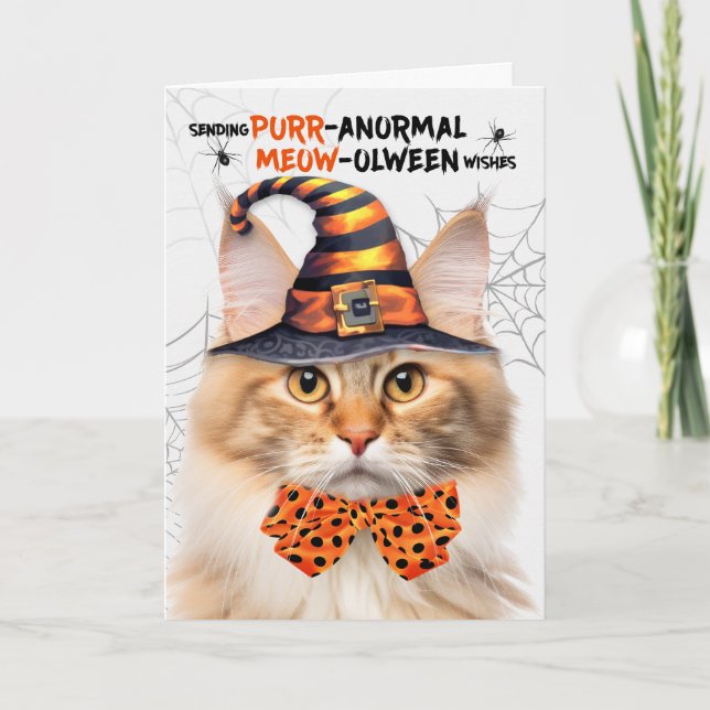 Apricot Norwegian Forest PURRanormal MEOWolween Holiday Card (Front)
