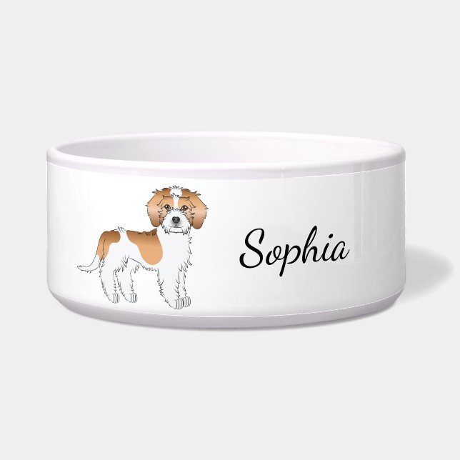 Apricot Parti-colour Mini Goldendoodle Dog (Front)