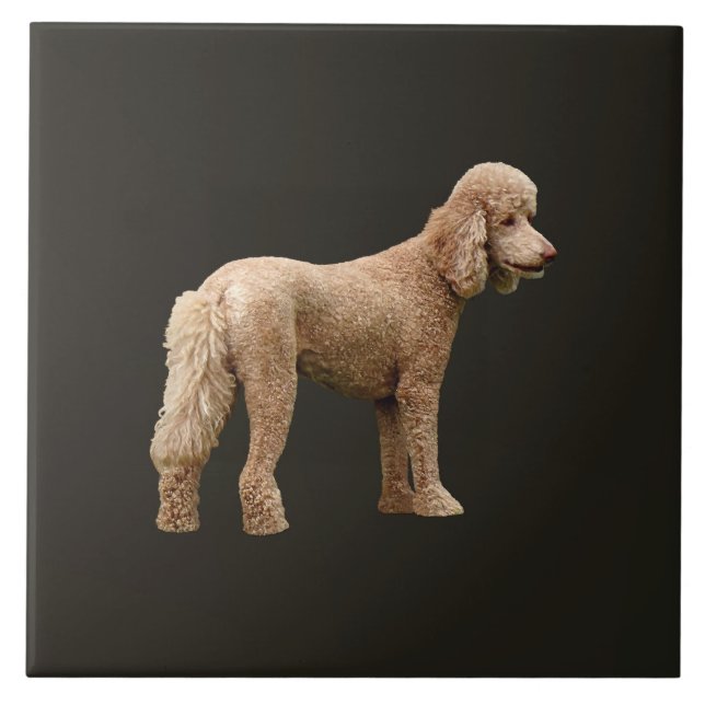 Apricot Poodle Ceramic Tile (Front)