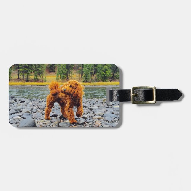 Apricot Poodle - Customisable Gift Luggage Tag (Front Horizontal)