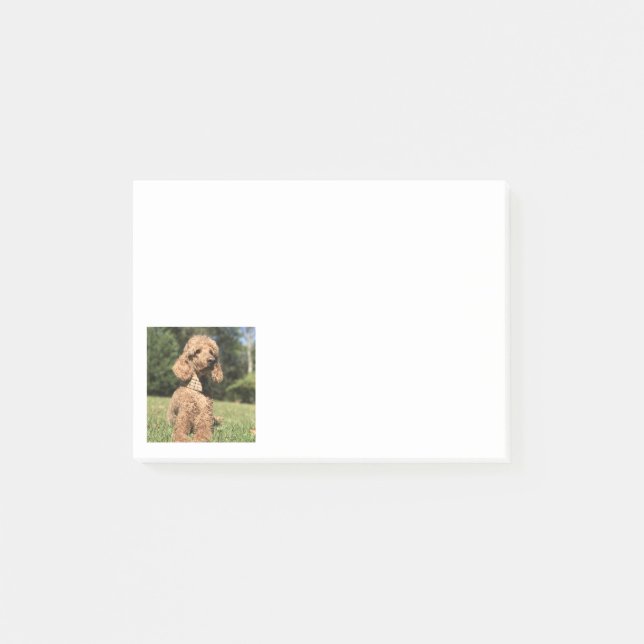 Apricot Poodle Customisable Post-it Notes (Front)