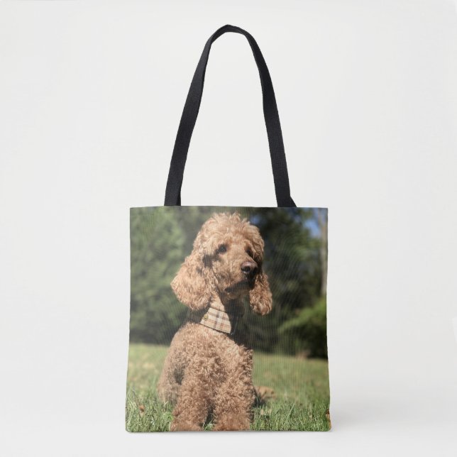 Apricot Poodle Customisable Tote Bag (Front)