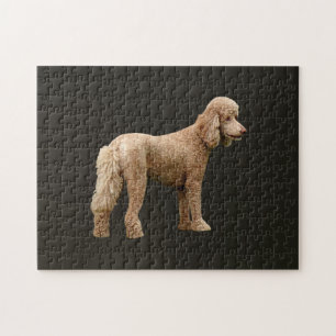 Apricot Poodle Jigsaw Puzzle