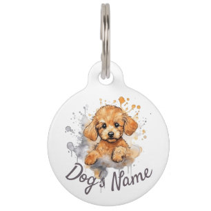 Apricot Poodle Maltipoo puppy Pet Tag