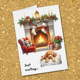 Apricot Poodle Puppy Dog Waiting for Christmas