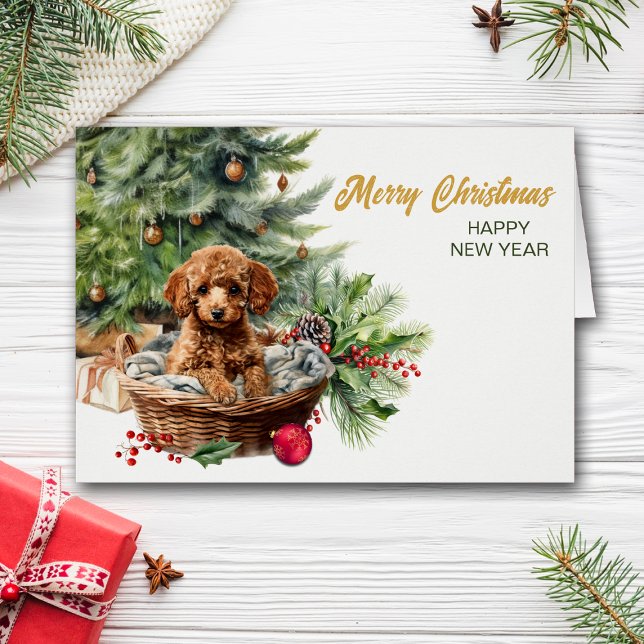 Apricot Poodle Puppy Dog Wicker Basket Christmas (Creator Uploaded)