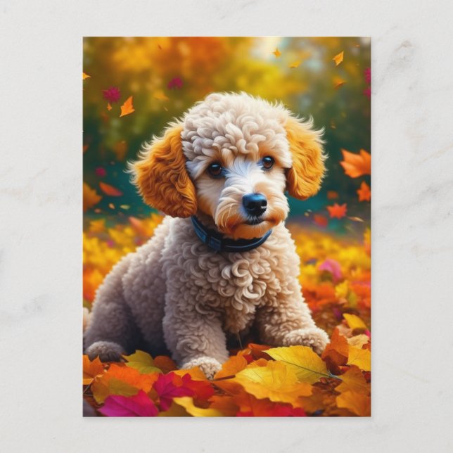Apricot Poodle Puppy in Fall Leaves Postcard (Front)