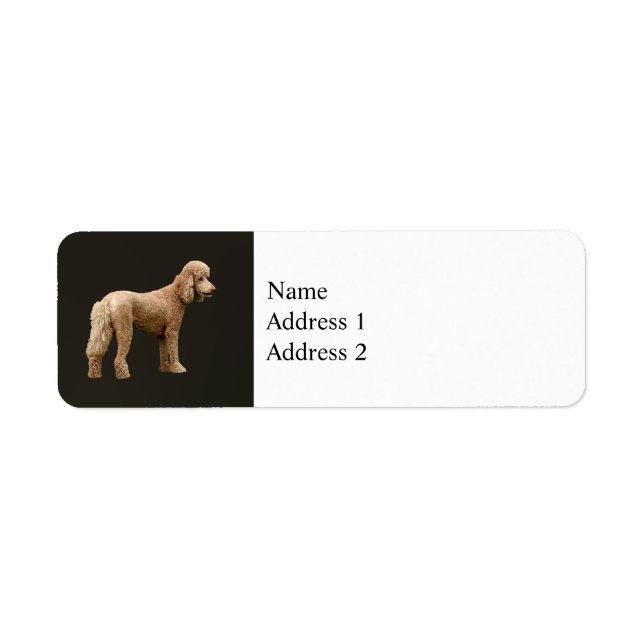 Apricot Poodle Return Address Label (Front)