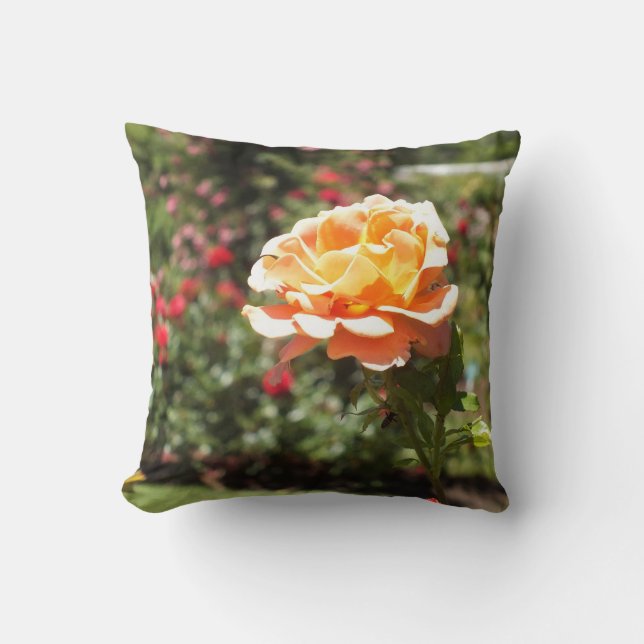 Apricot Rose Throw Pillow (Front)