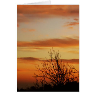 apricot skyscapes Card