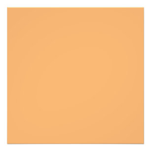 Apricot (solid colour) photo print