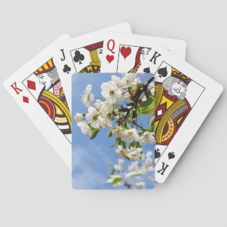 Apricot spring blossom. playing cards