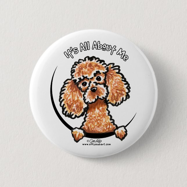 Apricot Toy Miniature Poodle IAAM 6 Cm Round Badge (Front)