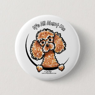 Apricot Toy Miniature Poodle IAAM 6 Cm Round Badge