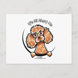 Apricot Toy Miniature Poodle IAAM Postcard