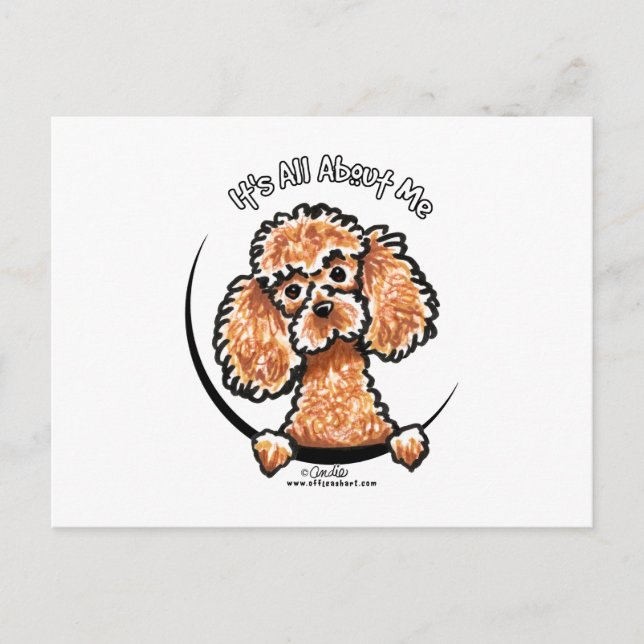 Apricot Toy Miniature Poodle IAAM Postcard (Front)