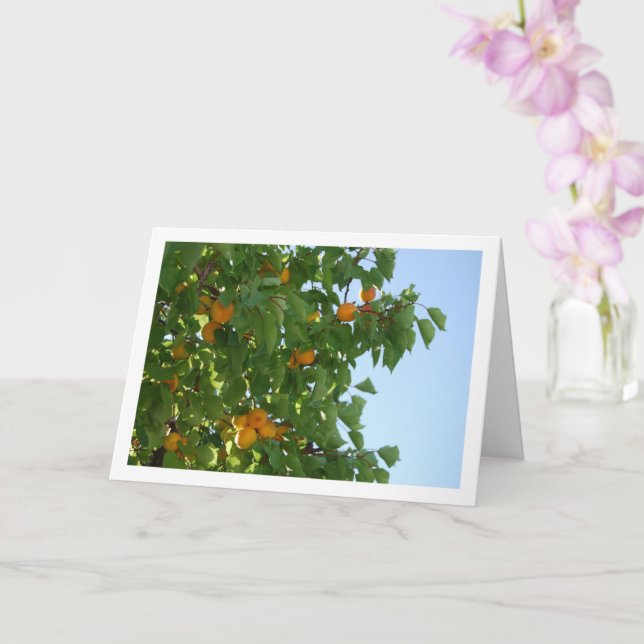 Apricot Tree Blue Sky Portrait Card (Orchid)