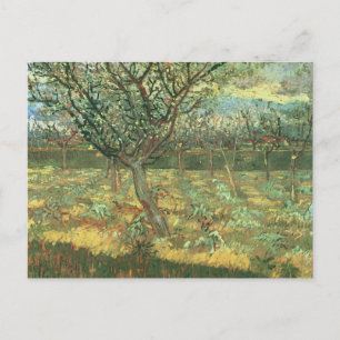 Apricot Trees in Blossom, Vincent van Gogh Postcard
