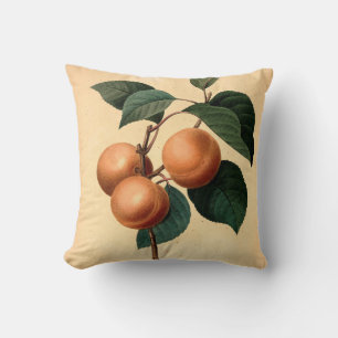 Apricots Botanical Illustration Cushion