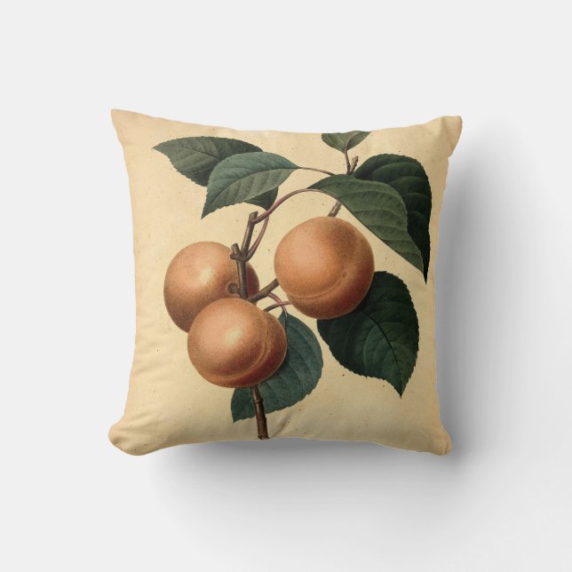 Apricots Botanical Illustration Cushion (Front)