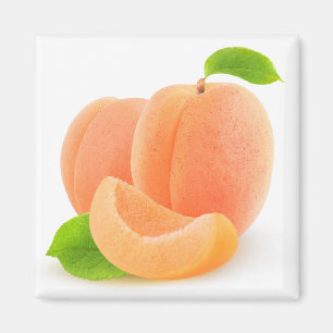 Apricots Magnet